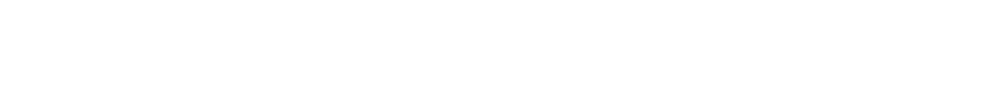 BSF Dubuque Logo OneLine White