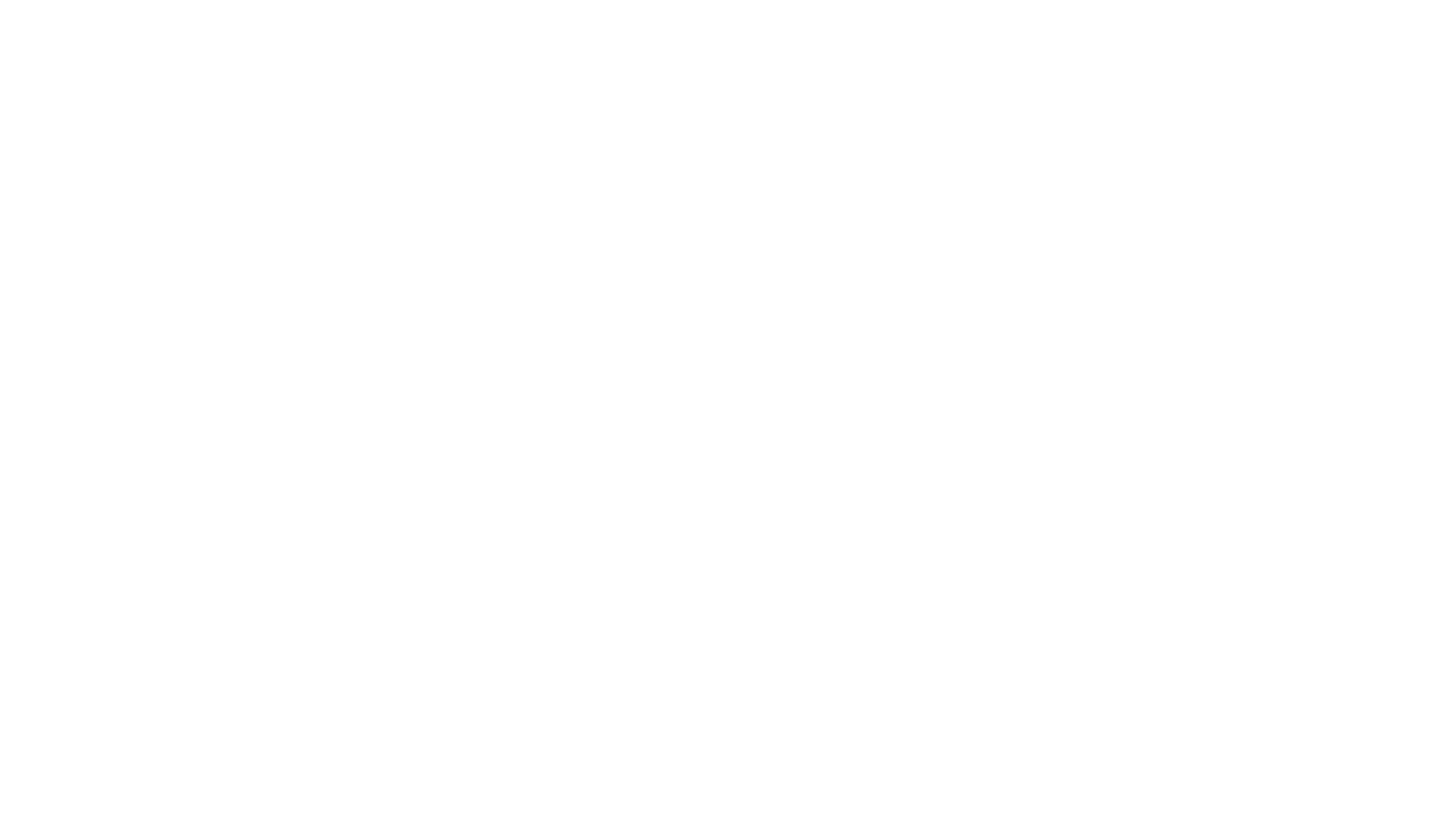BSF StormLake Logo Stacked White