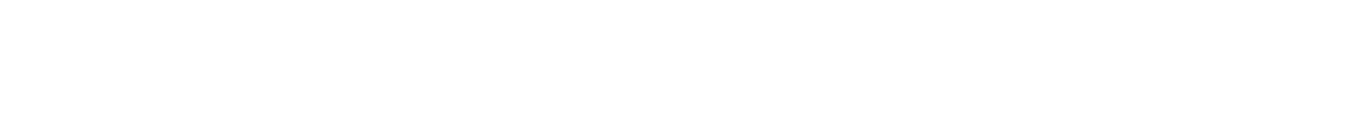 BSF Washington Logo OneLine White