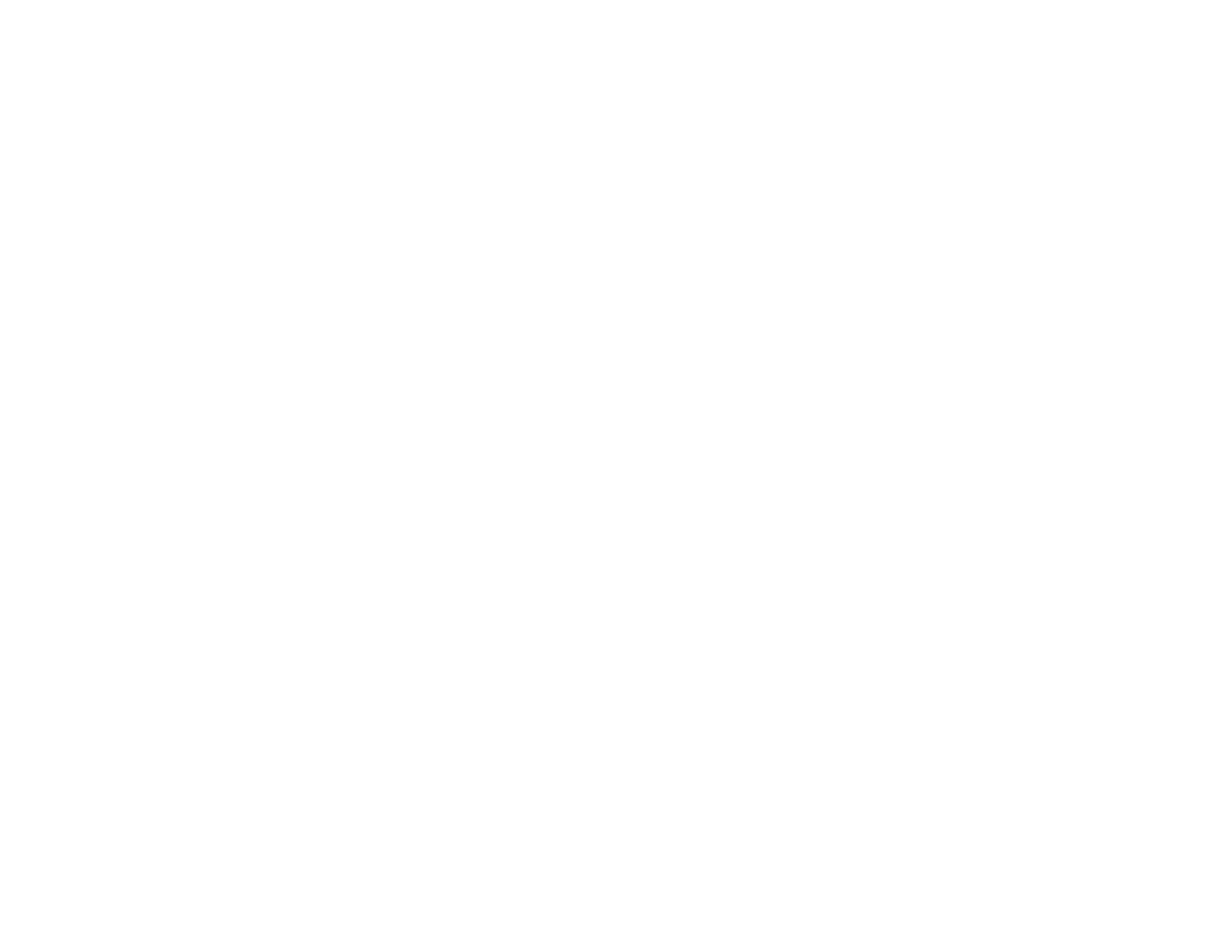BSFC LOGO WDM Stacked white