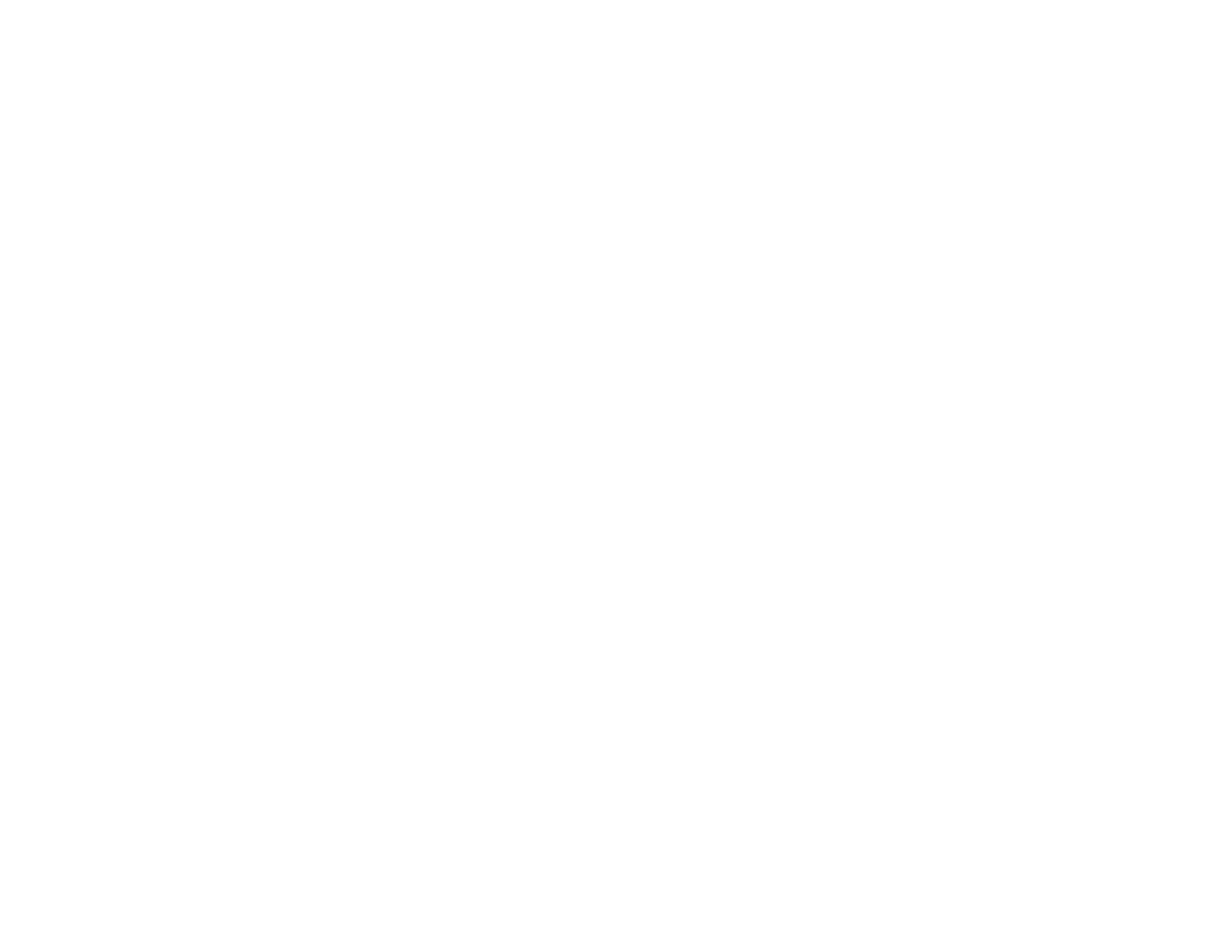 BSFC Logo Mason City horizontal white