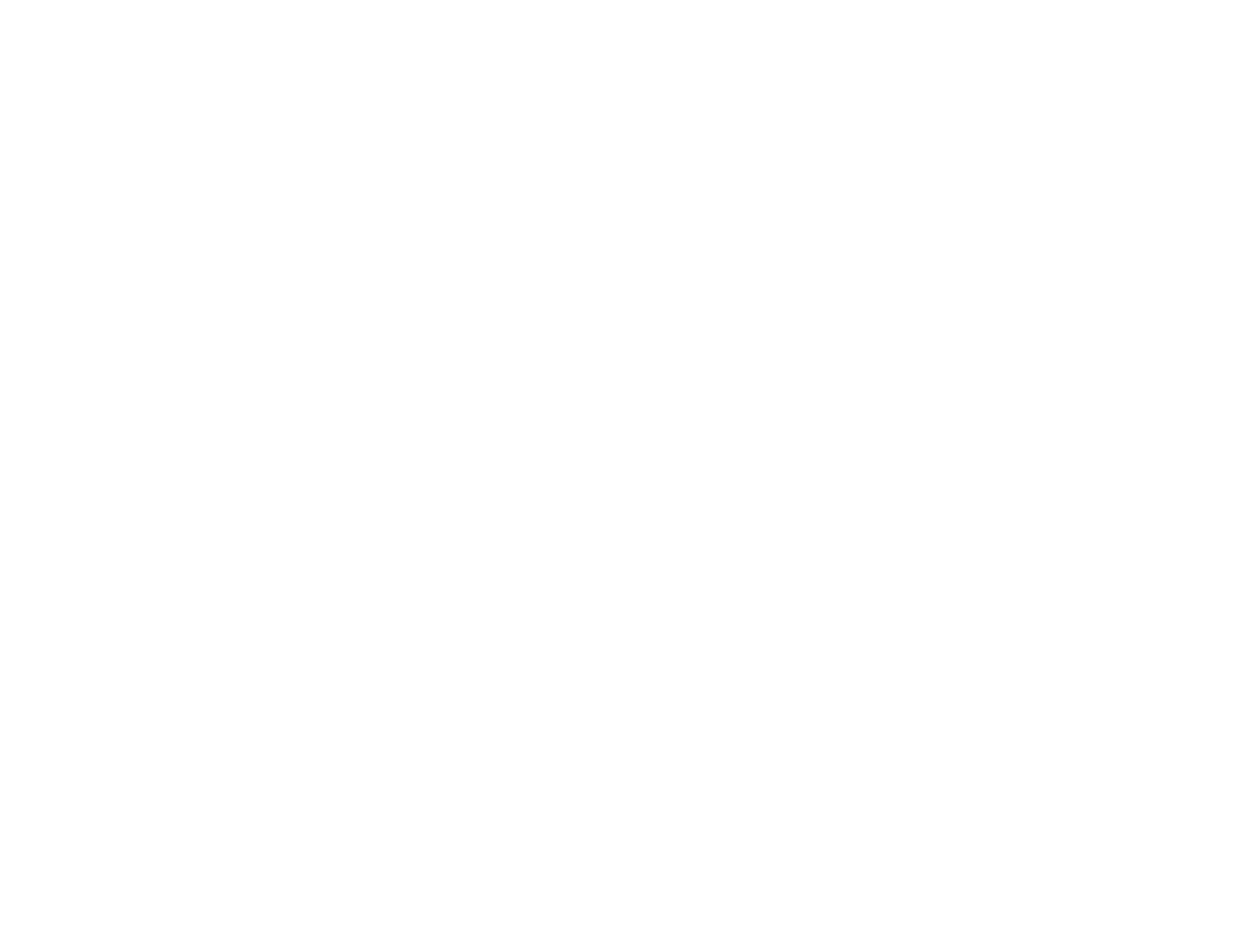 BSFC Logo WDM Horizontal white