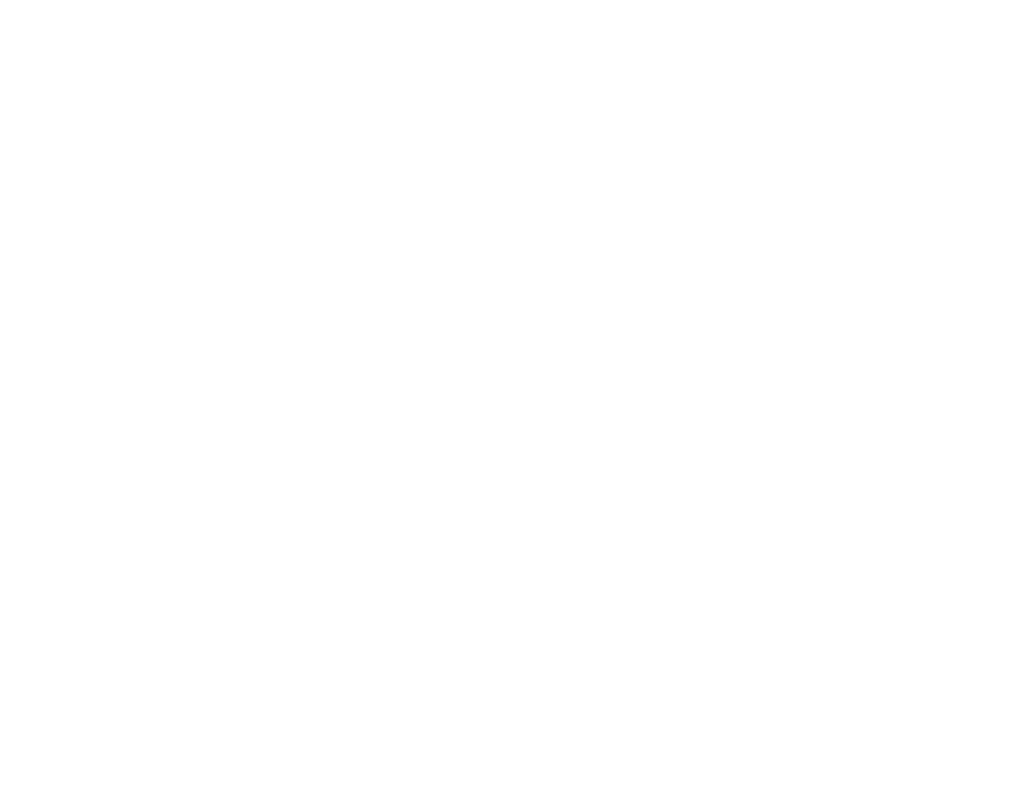 BSFC Logo Garden City H white