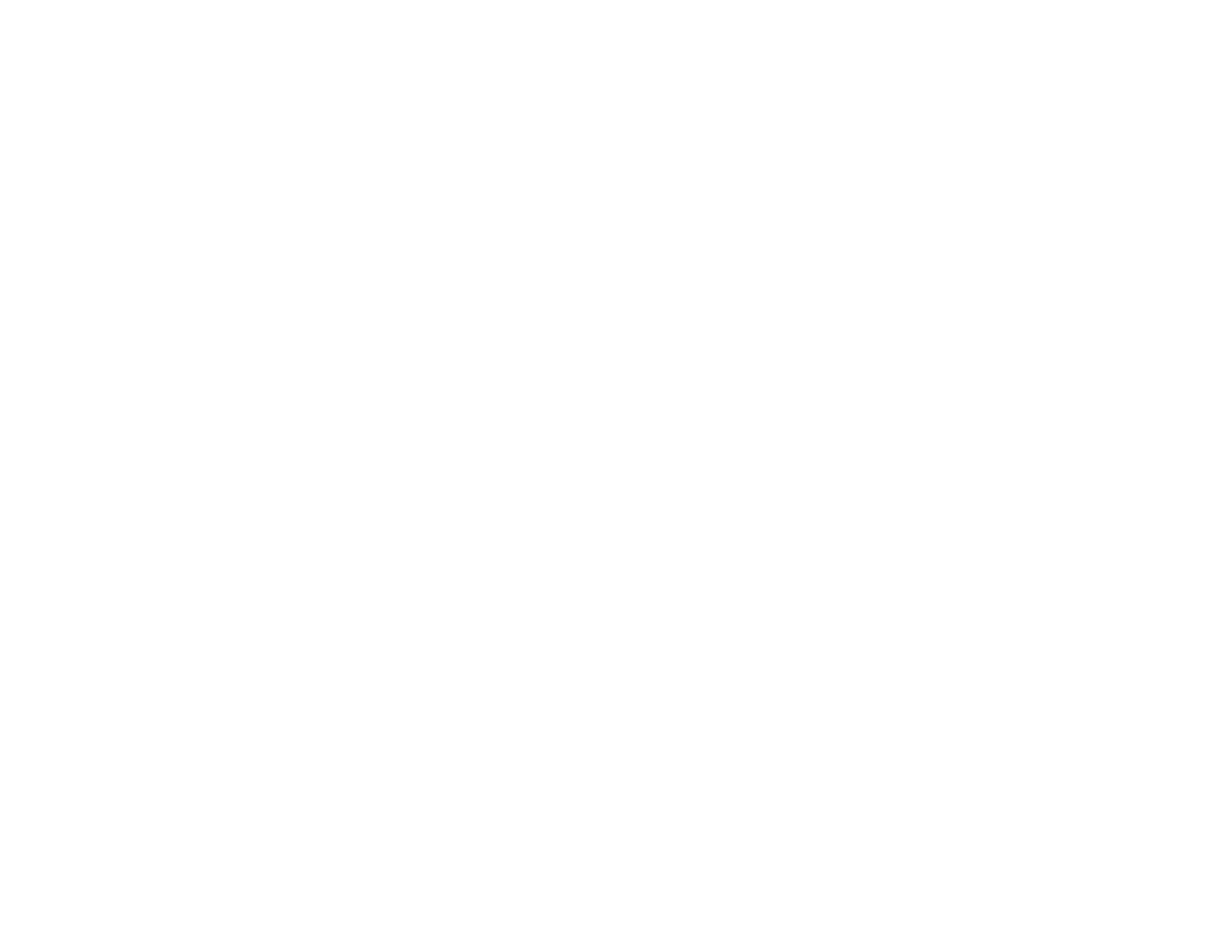 BSFC Logo Manhattan horizontal white