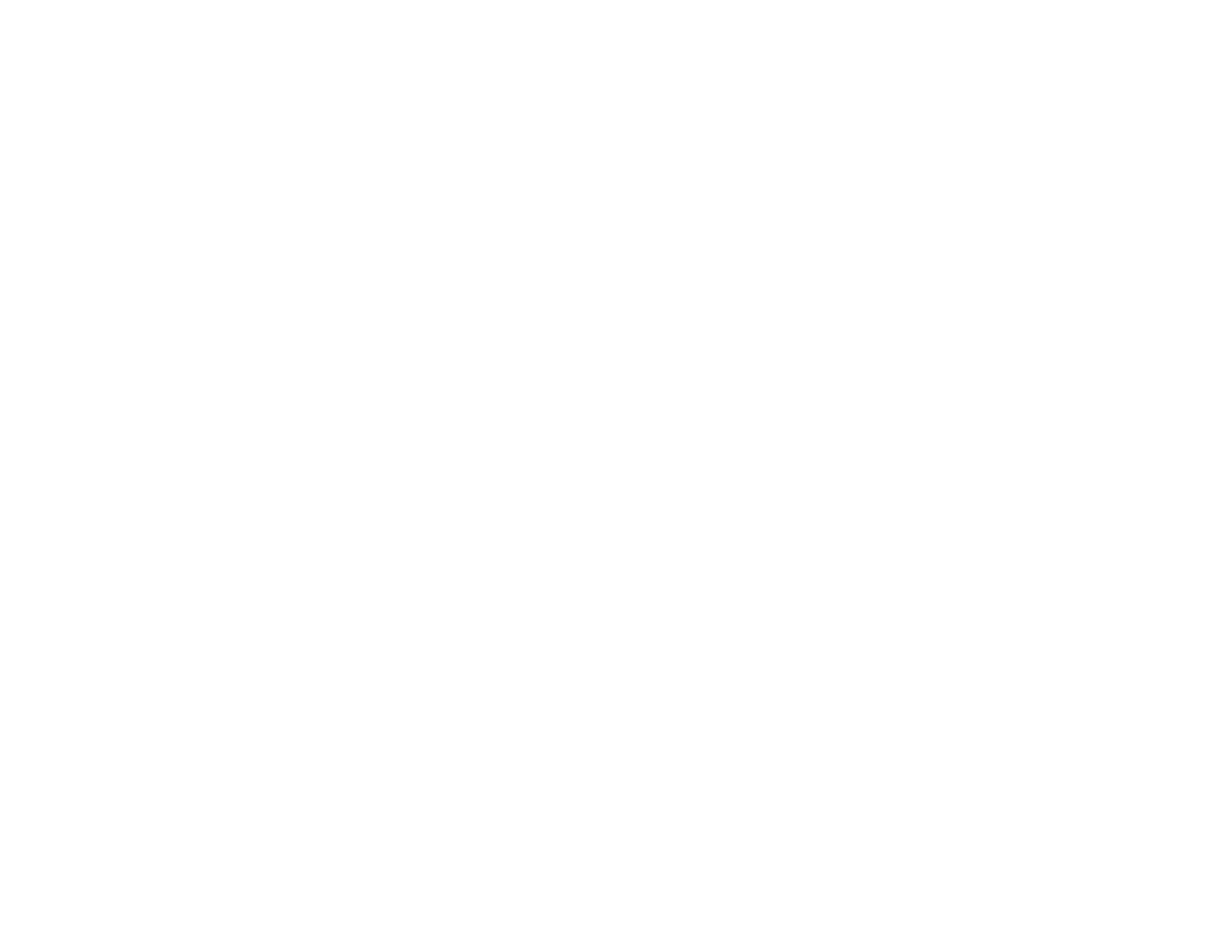 BSFC Logo Longview horizontal white